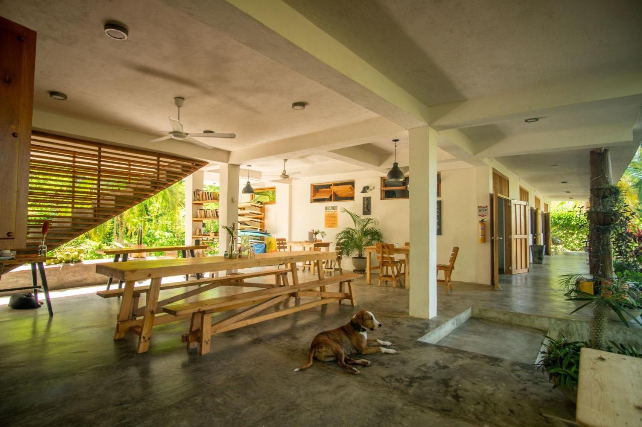 Casa Chapolin Boutique Guesthouse Palomino Buitenkant foto